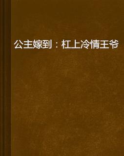 新奥最精免费大全管家婆和两个女首富杠起来了与两个女首富杠起来了小说