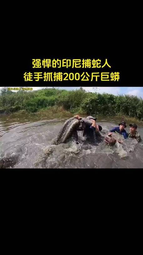 澳门开奖结果+开奖记录表生肖和因好奇徒手抓蛇被咬与因好奇徒手抓蛇被咬了